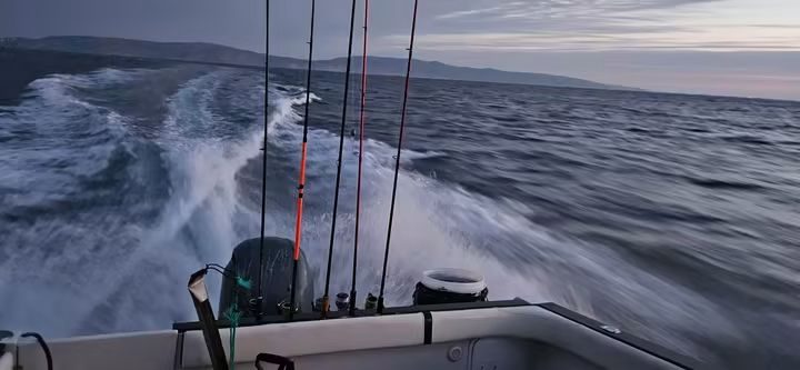 Canas na popa e esteira do barco ao amanhecer