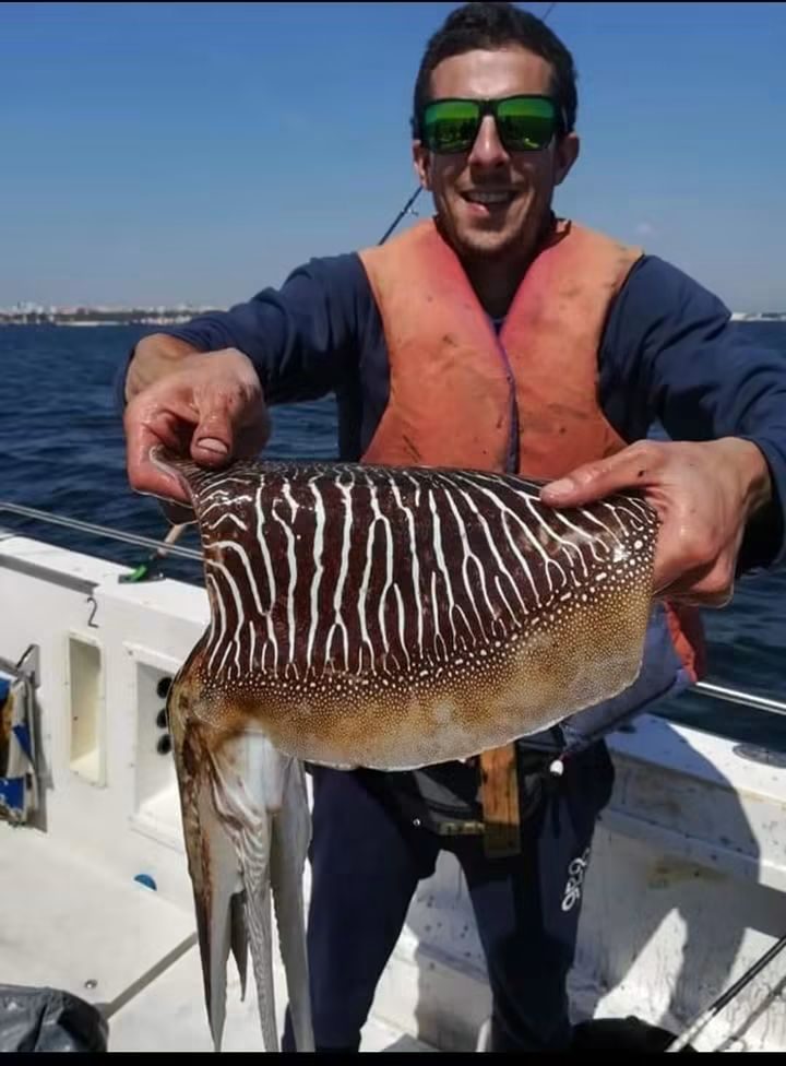 Pescador segura um choco grande a bordo