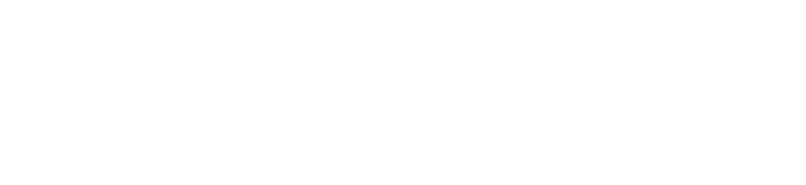 Black Flag Boat Tours